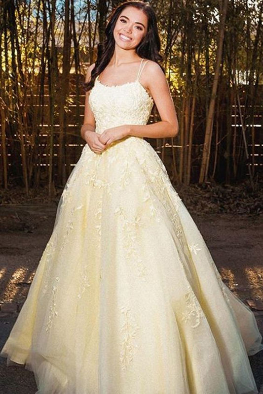 Princess Lace Long Prom Dresses, A-Line Long Lace Formal Evening Dress with Lace Appliques    cg13876