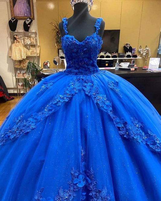 Amazing Princess Jewels dress Long Prom Dress    cg15409